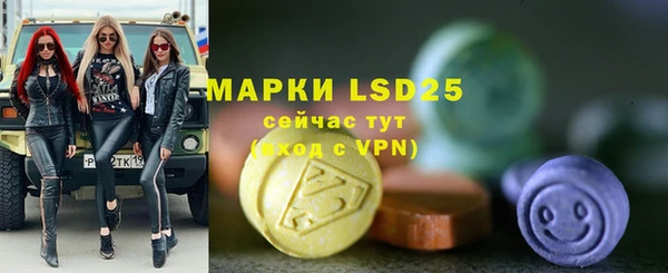 ПСИЛОЦИБИНОВЫЕ ГРИБЫ Абаза