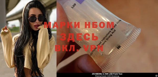 ПСИЛОЦИБИНОВЫЕ ГРИБЫ Абаза
