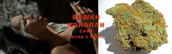 ПСИЛОЦИБИНОВЫЕ ГРИБЫ Абаза