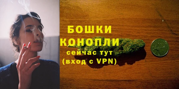 spice Пестово