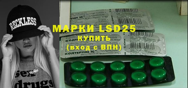ПСИЛОЦИБИНОВЫЕ ГРИБЫ Абаза