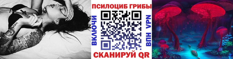 Псилоцибиновые грибы Psilocybe  гидра ССЫЛКА  Урень 